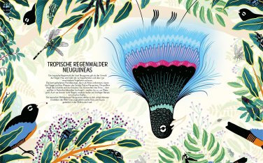 Wildnis Wo seltene Tiere und Pflanzen zuhause sind - Illustrationen von Marcos Navarro, Text von Mia Cassany (3)